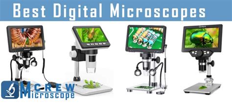 microscopes with camera|15 Best Digital Microscopes [ Top 15 LCD .